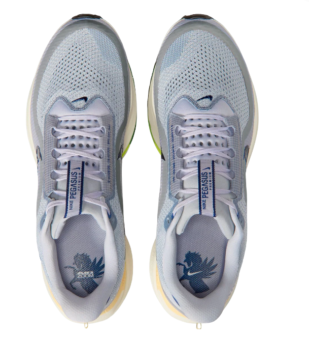 Nike Pegasus Premium | Next Horizon
