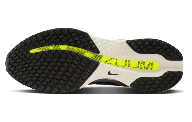 Nike Pegasus Premium | Next Horizon