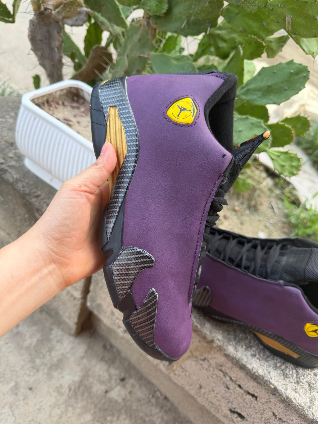 Air Jordan 14 Purple/Black | Violet Nocturne